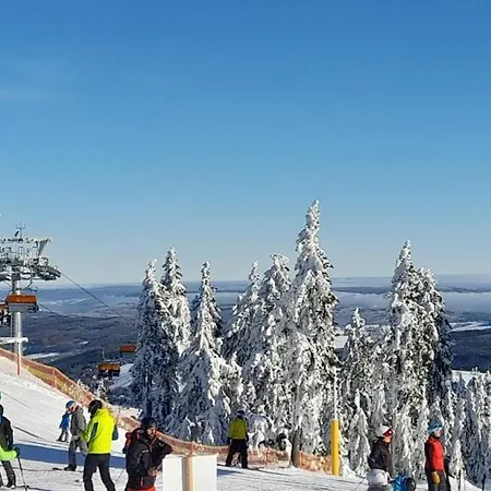 Green Loučná pod Klínovcem