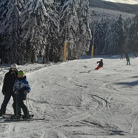 Green شقة Loučná pod Klínovcem