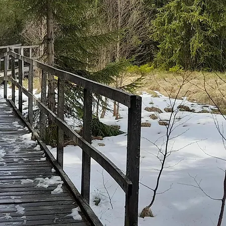 Green * Loučná pod Klínovcem